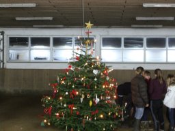 img_0683_web